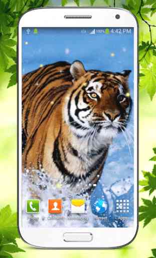 Tiger Live Wallpaper HD 2
