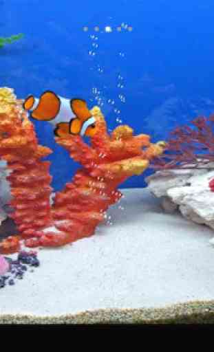 Tropical fishes aquarium 1