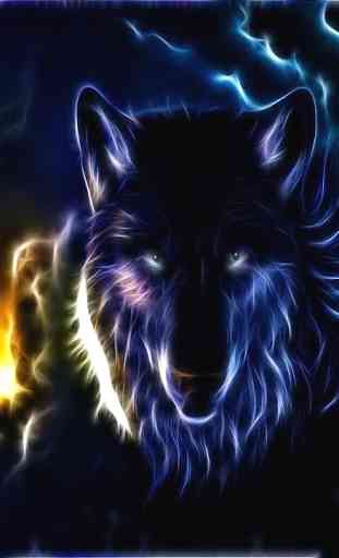 Wolf HD Wallpapers FREE 3