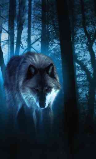 Wolves Night live wallpaper 1