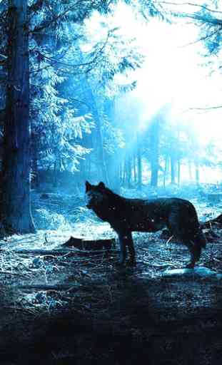 Wolves Night live wallpaper 3