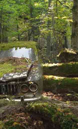 Abandoned Forest Treasure 2