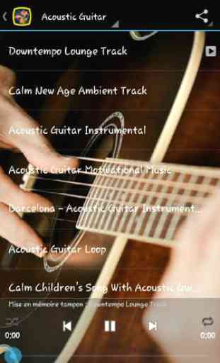 Acoustic Guitar Sounds 2