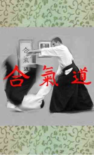 Aikido Fifth Kyu (Free) 1
