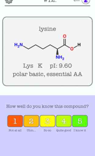 Amino Acid Structure Quiz/Card 1