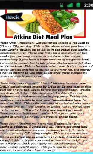 Atkins Diet Meal Plan 1
