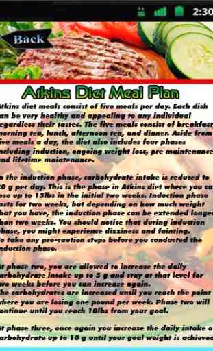 Atkins Diet Meal Plan 2