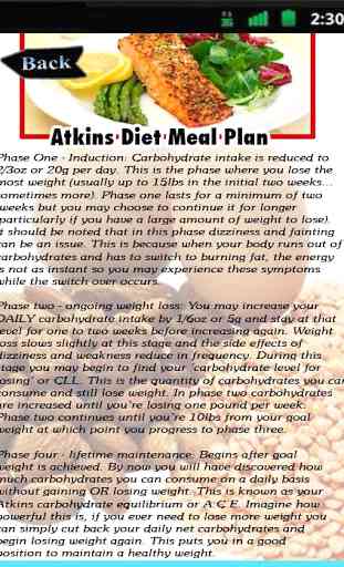 Atkins Diet Meal Plan 4