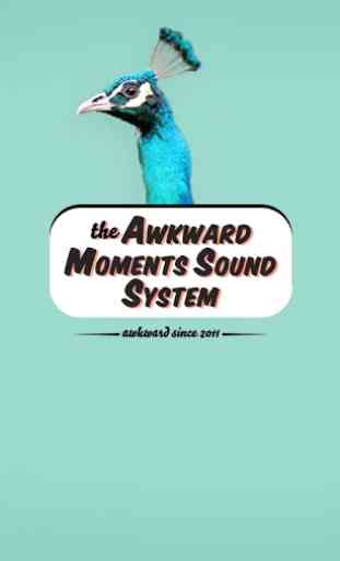 Awkward Moments Sound System 1
