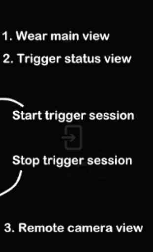 Camera Trigger (Motion Detect) 3