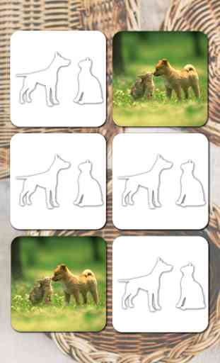 Cats And Dogs Games 4