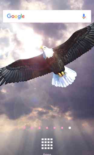 Eagle Wallpapers 3