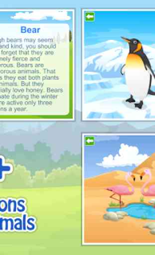 Kids Learn about Animals Lite 4