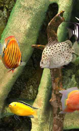 MyLake 3D Aquarium 1