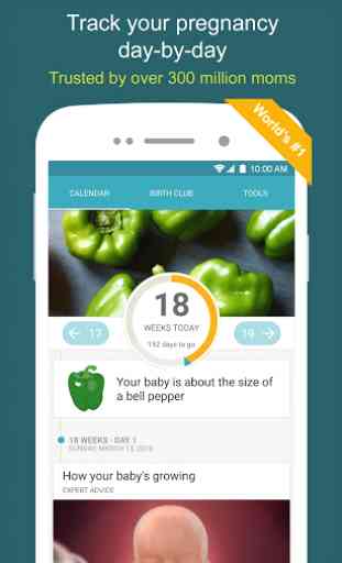 Pregnancy & Baby Daily Tracker 1