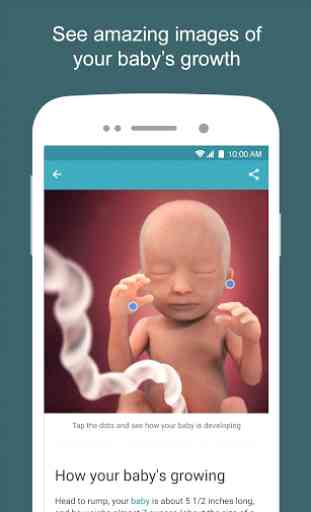 Pregnancy & Baby Daily Tracker 3