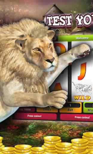 Wild Afrikaans Safari Slot 4DX 1