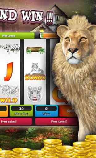 Wild Afrikaans Safari Slot 4DX 2