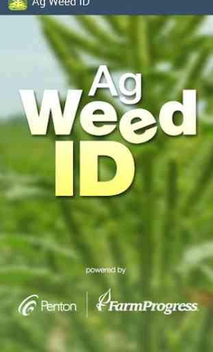 Ag Weed ID 1