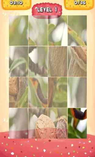 Almond Jigsaw Puzzles 4