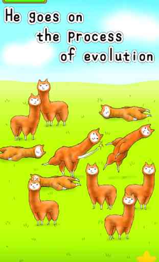 Alpaca Evolution 2