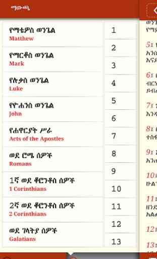 Amharic Bible True Light Bible 3
