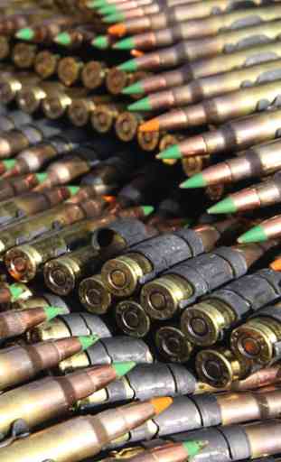 ammunition weapons lwp 1