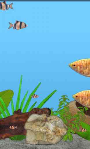 Aquarium Fish 4