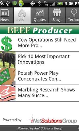 Beef Producer 2