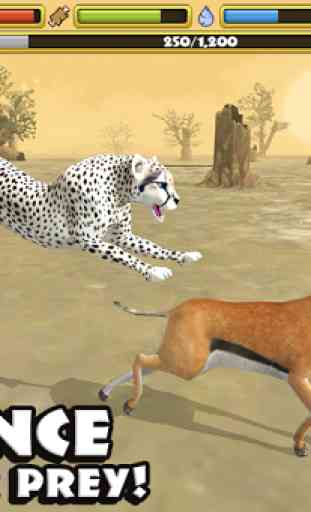 Cheetah Simulator 3