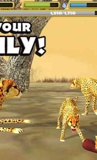 Cheetah Simulator 4