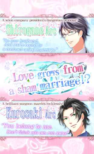 Contract Marriage Plus 3
