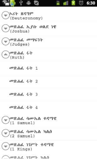 Ethiopian Bible (Amharic) 3