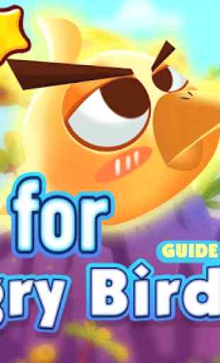 Guide for Angry Birds 2 2