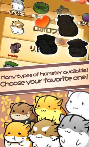 Hamster Life 3