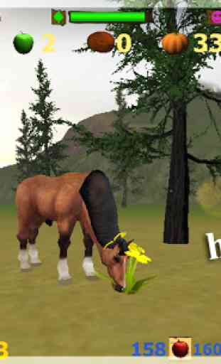 Horse Simulator 3d Animal Game 4