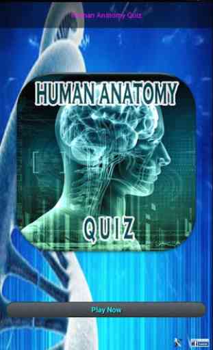 Human Anatomy Quiz 2