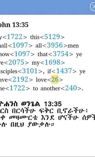 Iota Amharic Bible 4