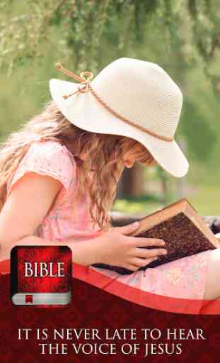 KJV Study Bible 3
