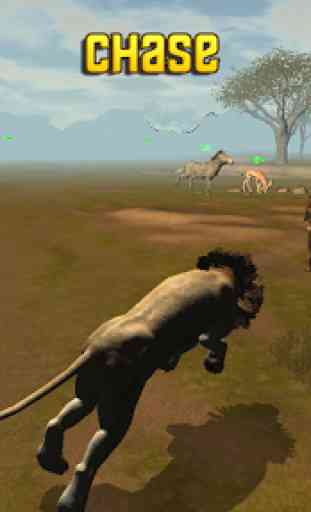 Lion Chase 2