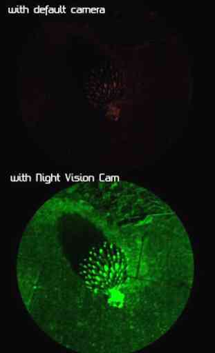Night Vision Cam 4