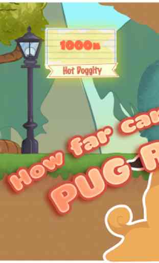 Pug Run 2