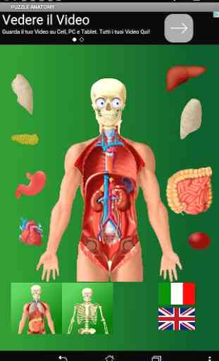 Puzzle Anatomy (learning game) 1