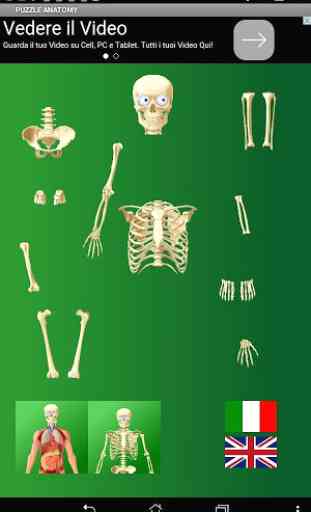 Puzzle Anatomy (learning game) 3