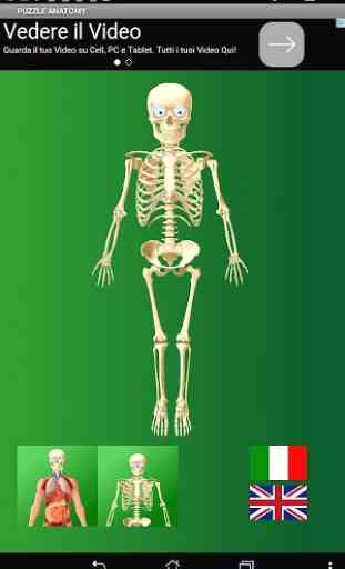 Puzzle Anatomy (learning game) 4
