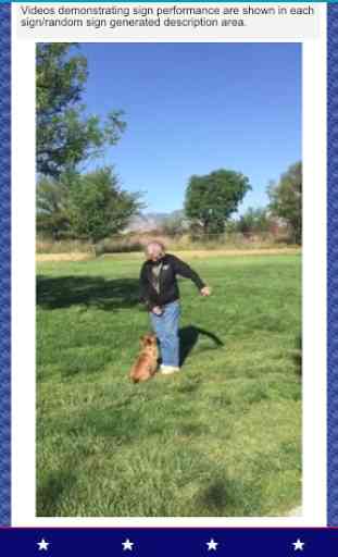 Rally Obedience Dog Training 3