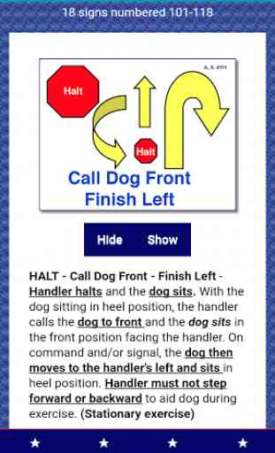 Rally Obedience Dog Training 4