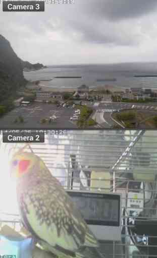 Viewer for ICam IP cameras 1
