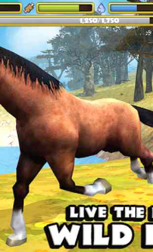Wild Horse Simulator 1