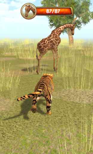 Wild Tiger Simulator 3D 4
